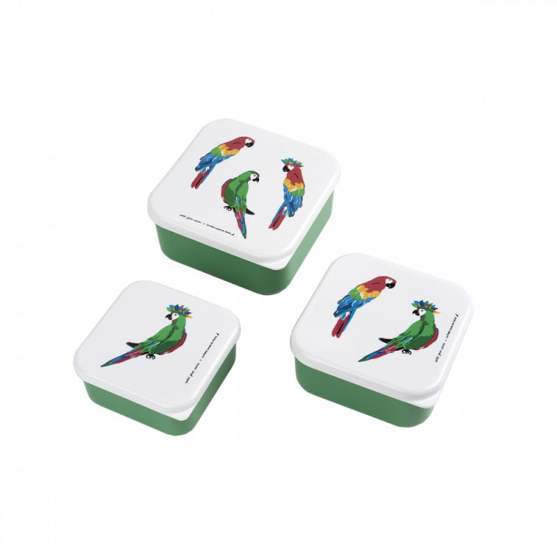 Maison Petit jour Paris trio lunchboxes parroquets +18m