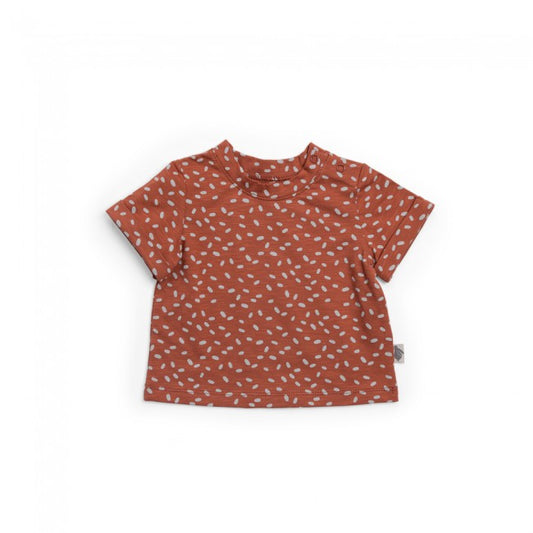 Moulinroty t-shirt jade 36 mnd