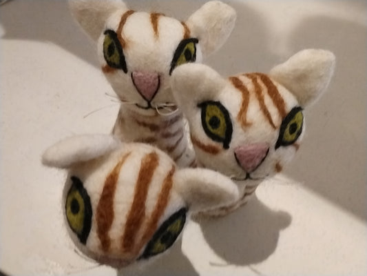 Pekko kat eierwarmer